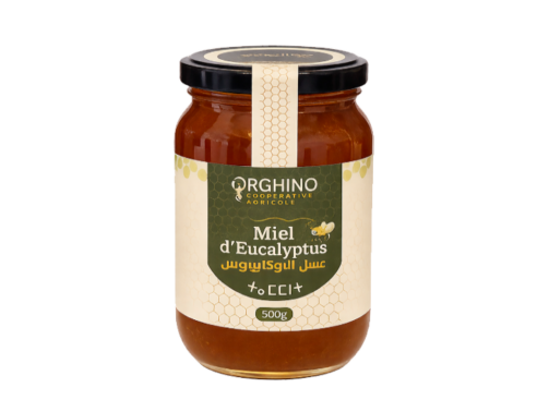 eucalyptus